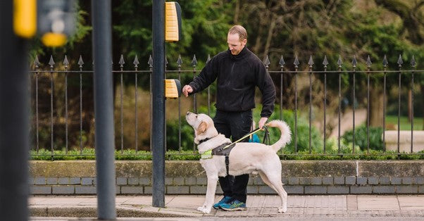 Guide Dogs Nottinghamshire: Supporting Independence for the Visually Impaired